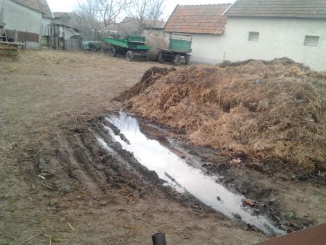 2013-03-09_07.34.00.jpg