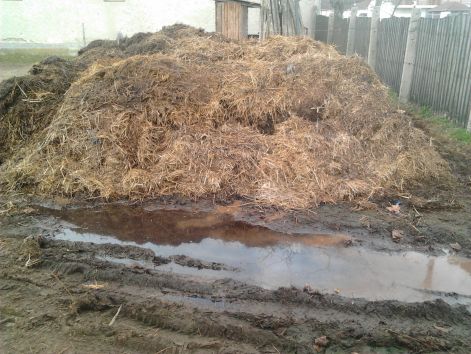2013-03-09_07.35.33.jpg