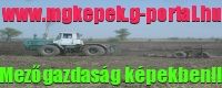 bannerfans_3544923_www.kepfeltoltes.hu_.jpg