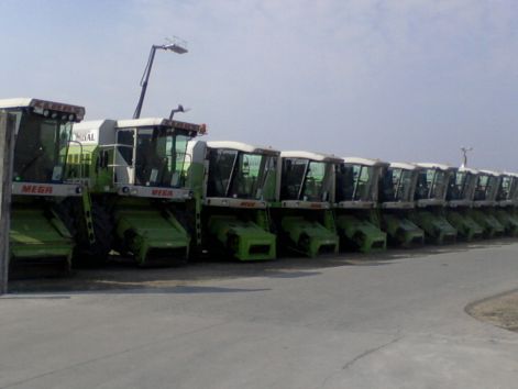 fenykep-0020.jpg
