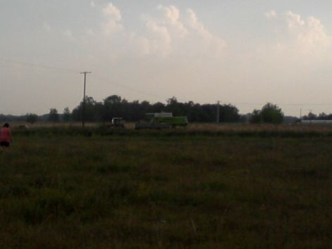 fenykep-0068.jpg