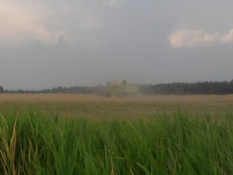 fenykep-0072.jpg