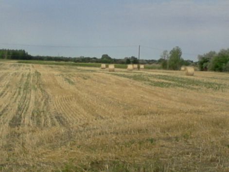 fenykep-0085.jpg