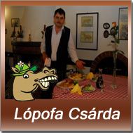 lopofacsarda.jpg