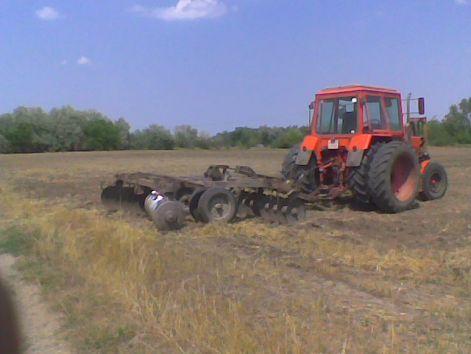 mtz_meg_tarcsa.jpg
